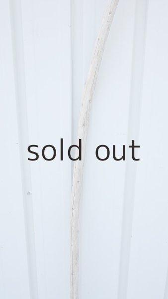 画像3: 棒流木・長尺 (3)