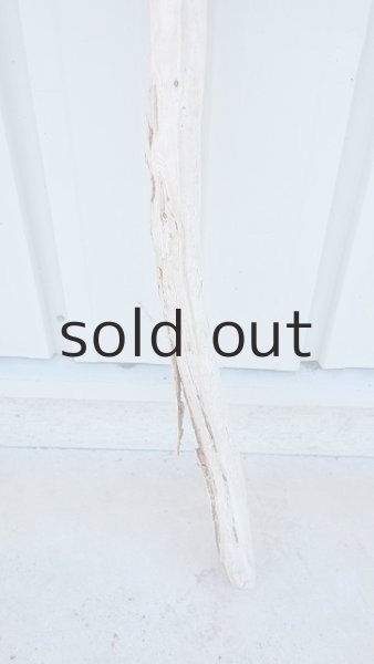 画像2: 棒流木（outlet） (2)