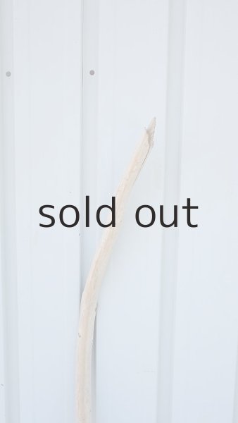 画像4: 棒流木 (4)