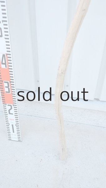 画像5: 棒流木 (5)