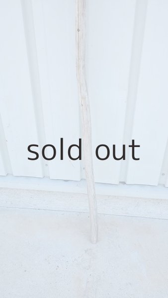 画像2: 棒流木・長尺 (2)