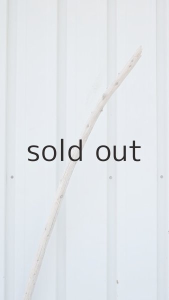 画像4: 棒流木・長尺 (4)