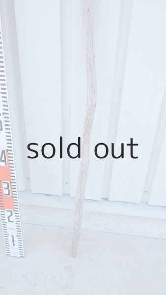 画像5: 棒流木・長尺 (5)