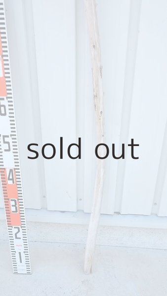 画像5: 棒流木・長尺 (5)