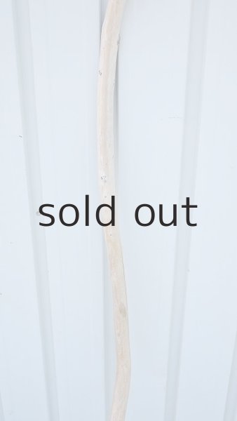 画像3: 棒流木 (3)