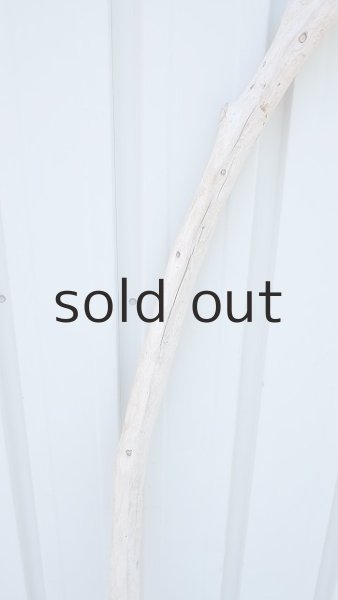 画像3: 棒流木（outlet） (3)