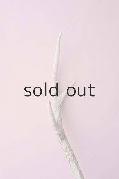 画像4: デコール用二ホンジカの角（ヘッド付） (4)