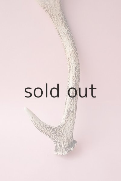 画像2: デコール用二ホンジカの角 (2)