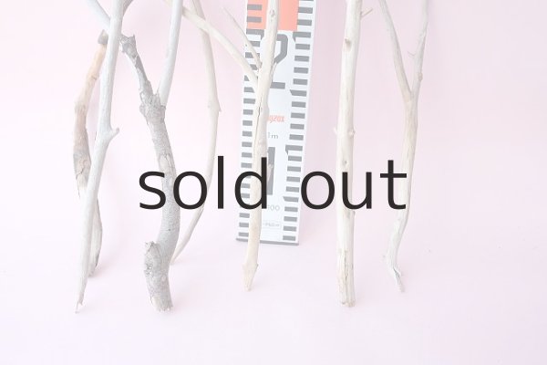 画像6: 小枝流木セット (6)