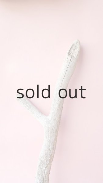 画像3: 小枝流木 (3)