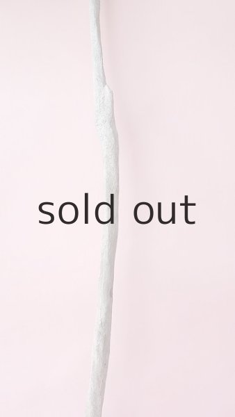 画像3: 枝流木 (3)