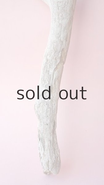 画像2: 小枝流木 (2)