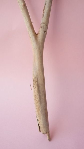 画像2: 小枝流木 (2)