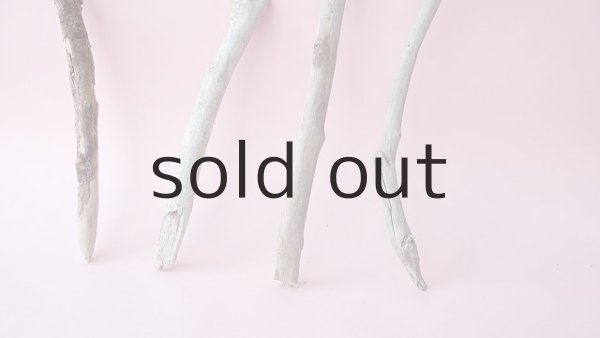 画像2: 小枝流木セット (2)