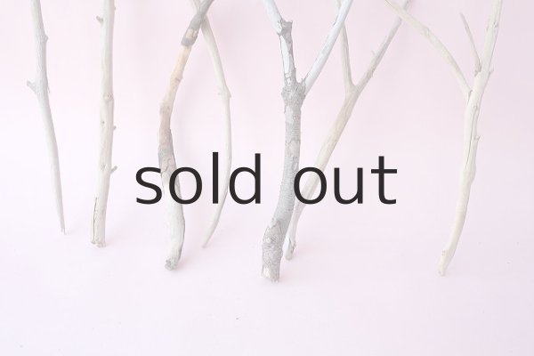 画像2: 小枝流木セット (2)