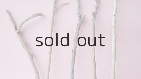 画像3: 小枝流木セット (3)