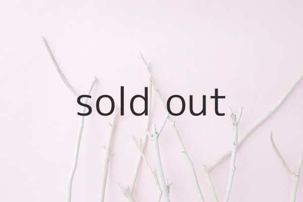 画像4: 小枝流木セット (4)