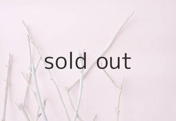 画像5: 小枝流木セット (5)