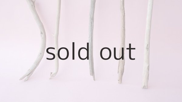 画像2: 小枝流木セット (2)