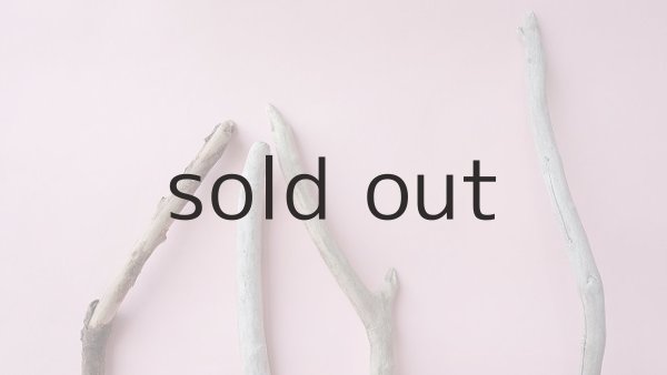 画像4: 小枝流木セット (4)