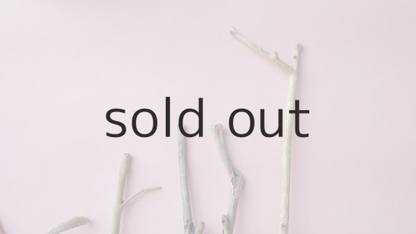 画像4: 小枝流木セット (4)