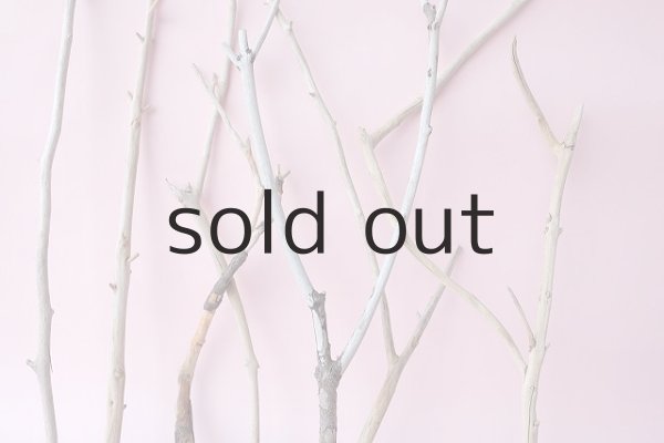 画像3: 小枝流木セット (3)