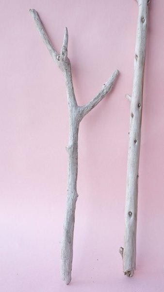 画像5: 小枝流木セット (5)