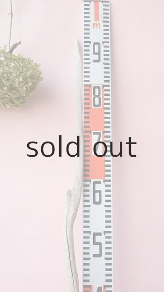 画像5: 枝流木 (5)