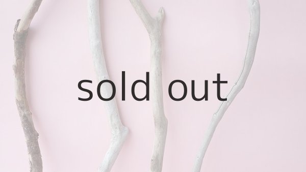 画像3: 小枝流木セット (3)