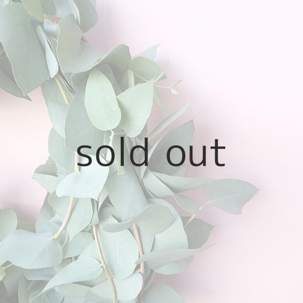 画像5: Dry plants for decor ユーカリブルーガムリース (5)