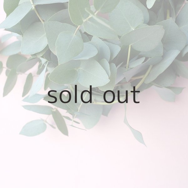 画像4: Dry plants for decor ユーカリブルーガムリース (4)