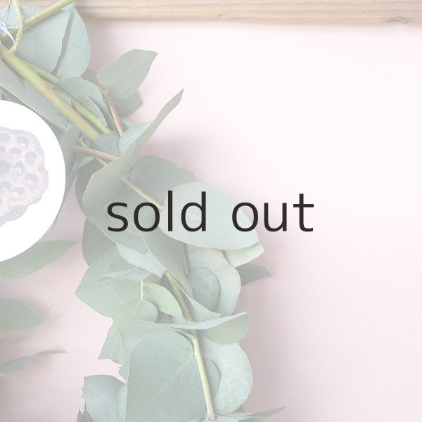 画像6: Dry plants for decor ユーカリブルーガムリース (6)