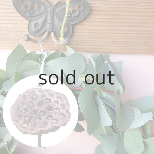 画像2: Dry plants for decor ユーカリブルーガムリース (2)