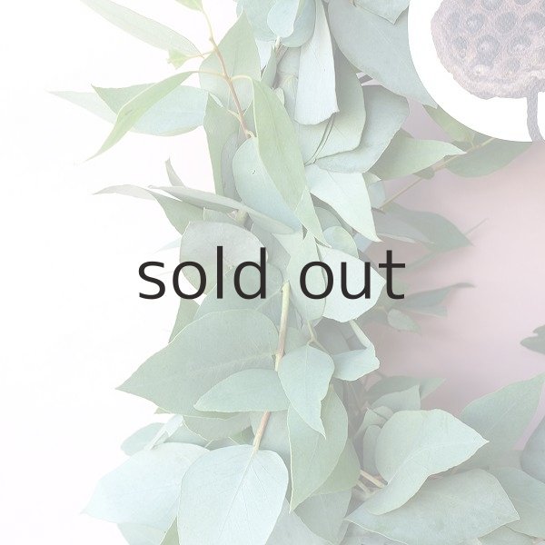 画像3: Dry plants for decor ユーカリブルーガムリース (3)