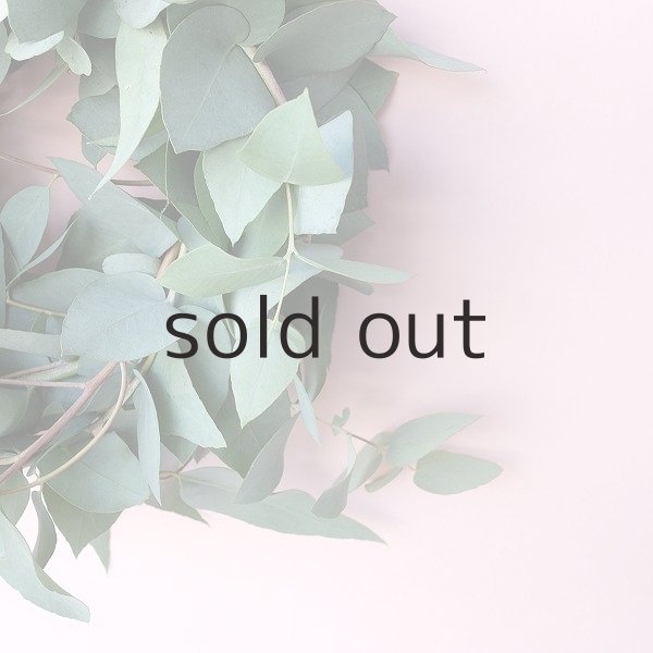 画像5: Dry plants for decor ユーカリブルーガムリース (5)