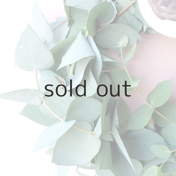 画像3: Dry plants for decor ユーカリブルーガムリース (3)