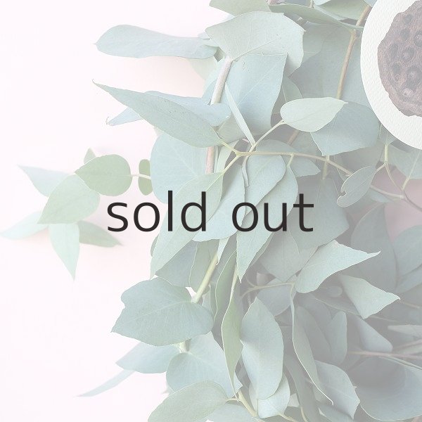 画像3: Dry plants for decor ユーカリブルーガムリース (3)