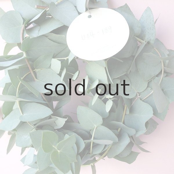 画像7: Dry plants for decor ユーカリブルーガムリース (7)