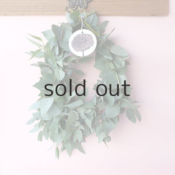 画像1: Dry plants for decor ユーカリブルーガムリース (1)