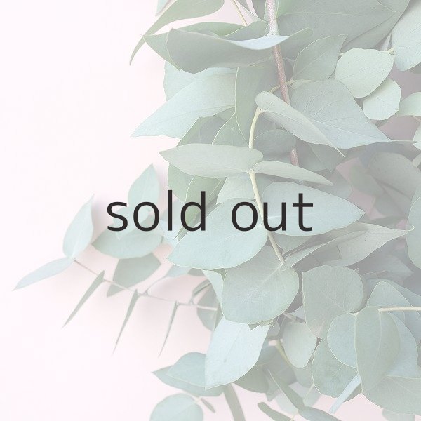 画像3: Dry plants for decor ユーカリブルーガムリース (3)