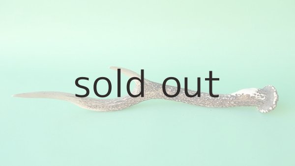 画像4: デコール用二ホンジカの角mini・小鹿 (4)