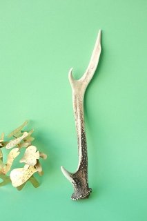 剣山の鹿の角