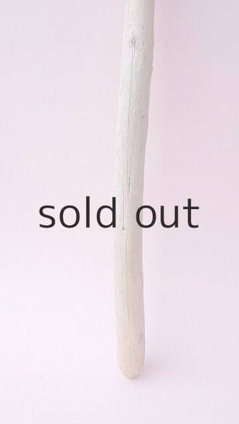 画像2: 棒流木 (2)