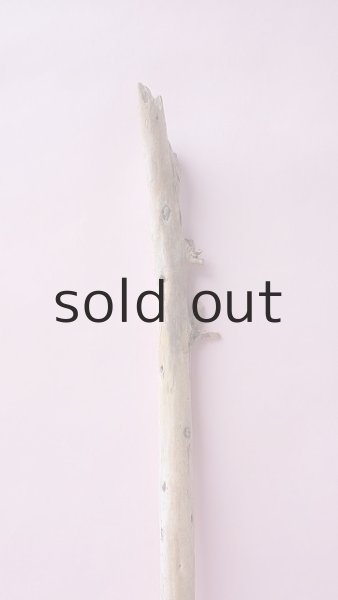 画像4: 棒流木 (4)