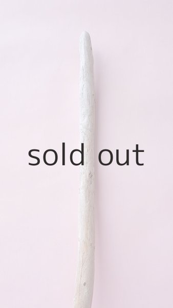 画像4: 棒流木 (4)