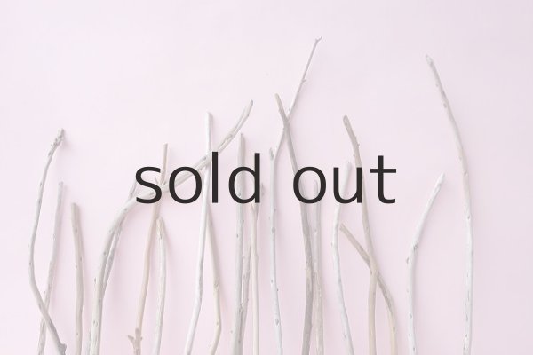 画像7: 棒流木セット (7)