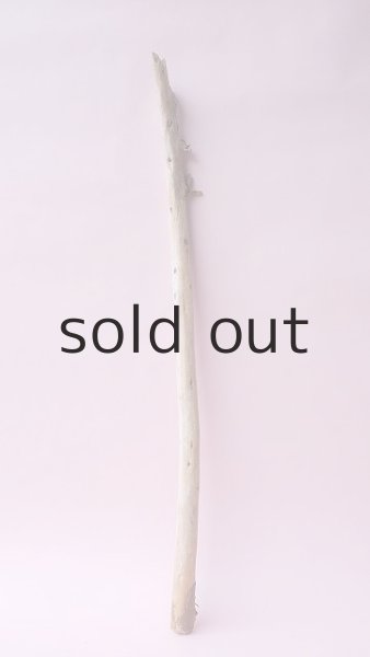 画像1: 棒流木 (1)