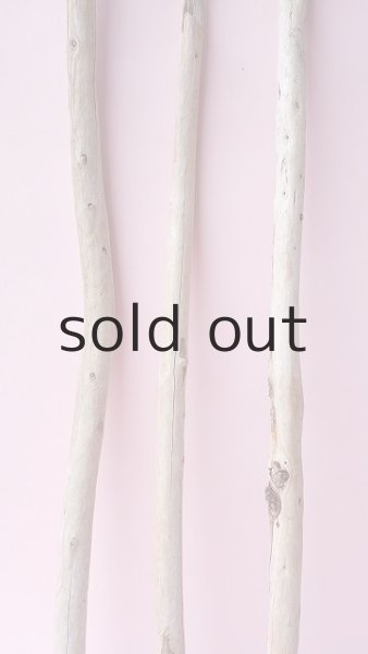 画像3: 棒流木セット (3)