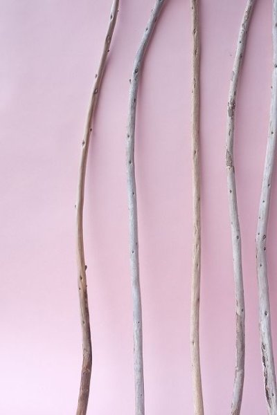 画像5: 棒流木セット (5)