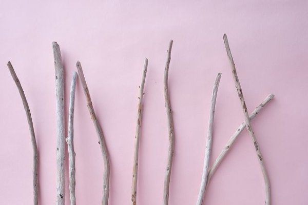 画像4: 棒流木セット (4)